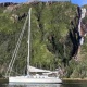 sailingharry's Avatar